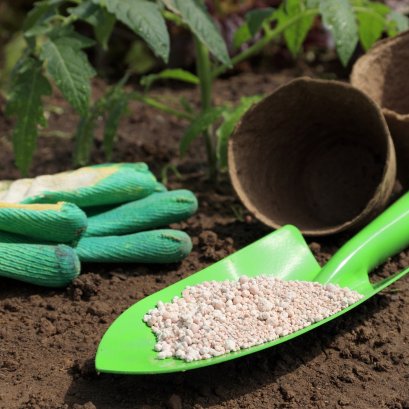 ใช้ปุ๋ยให้ถูกต้องอย่างมีประสิทธิภาพ