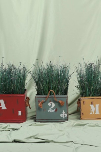 Kanekoji Prop ถ่ายภาพ