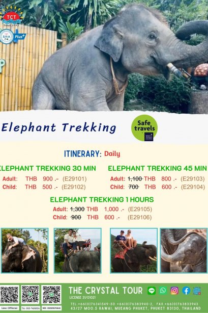 ELEPHANT TREKKING 30 MIN