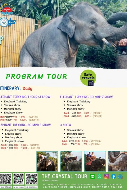 ELEPHANT TREKKING 1 HOUR+3 SHOW