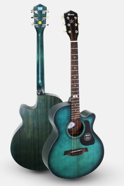 กีต้าร์โปร่ง Mantic GT10AC GR ( Solid Top )