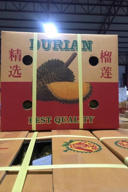 FRESH DURIAN