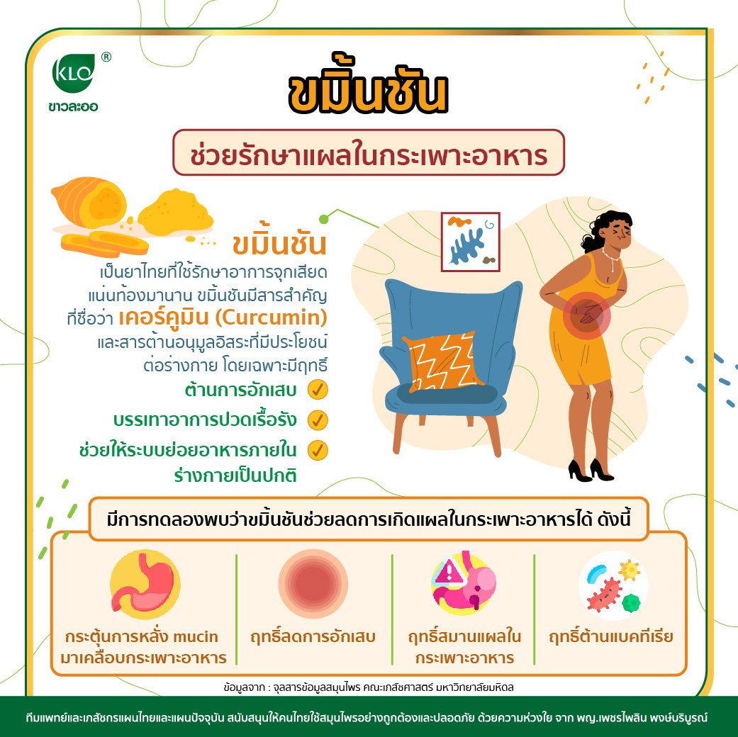 Turmeric helps heal stomach ulcers. khaolaor