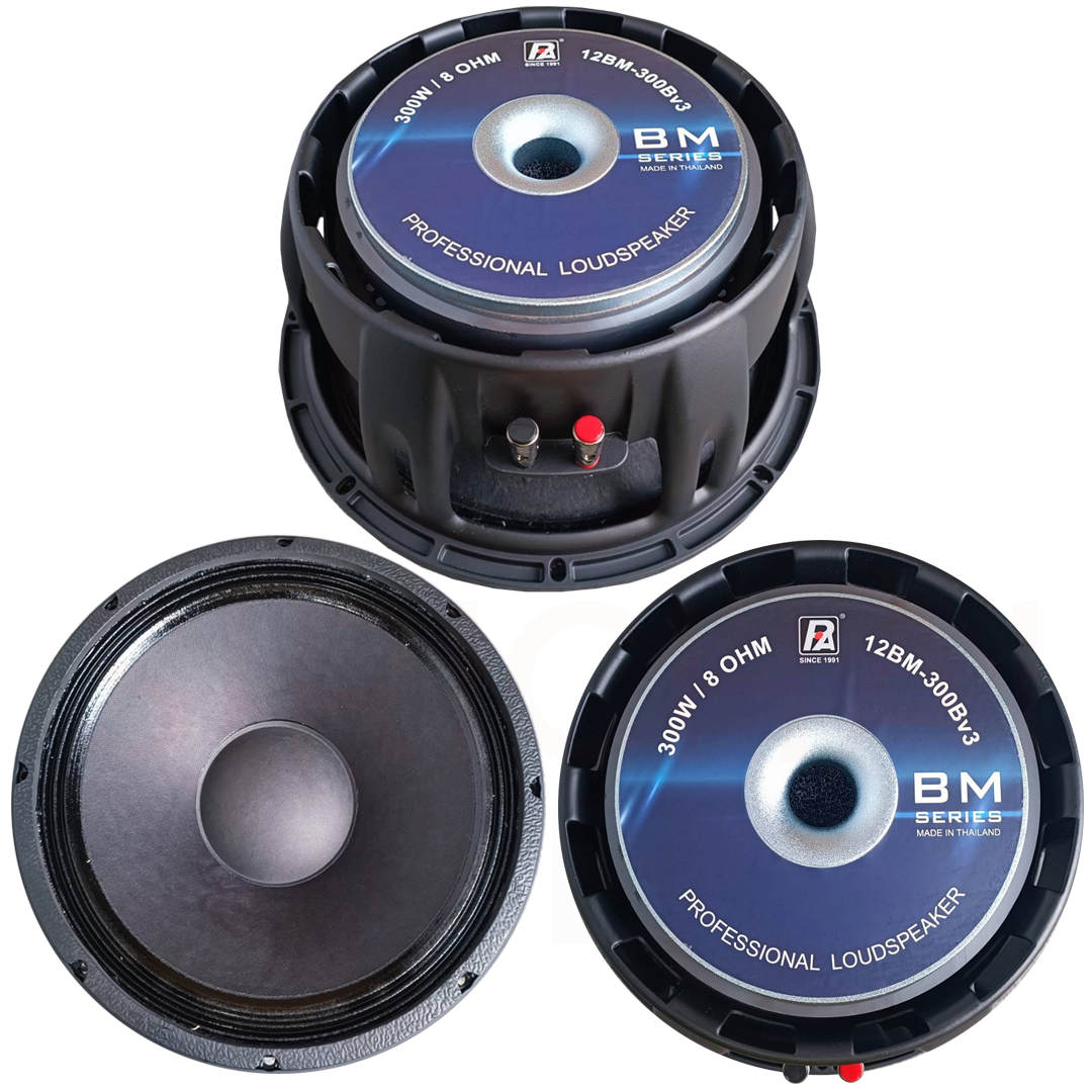 Audio 15bm 400b 15 Inch P Audio Speaker Woofer P Audio 12 Inch 400