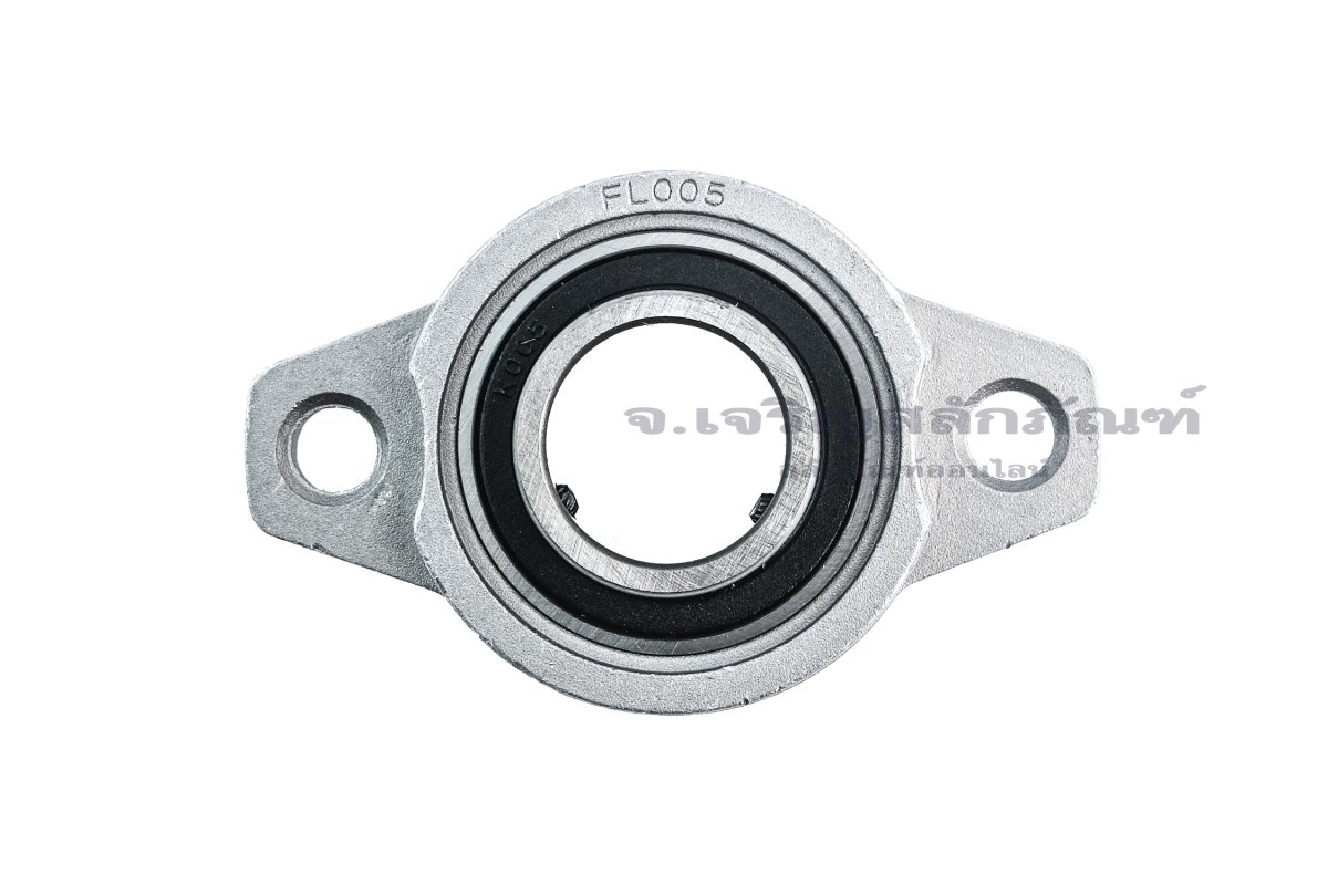 ตลับลูกปืนตุ๊กตาทรงไข่ Oval Shape, Pillow Block Bearing รุ่น K005/FL005 ...