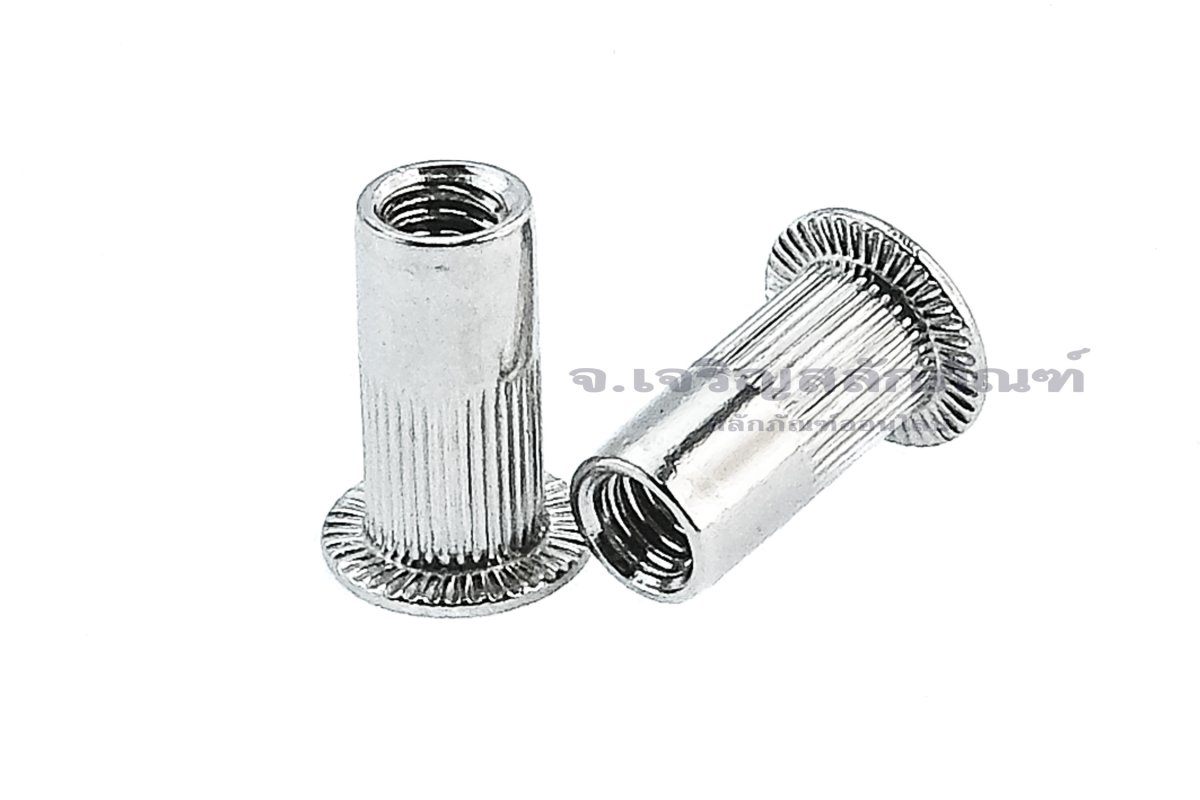 Long Rivet Rona รีเวทนัทสแตนเลส M4 (Stainless Steel Extra Long Rivet ) รุ่นยาวพิเศษ 13 mm