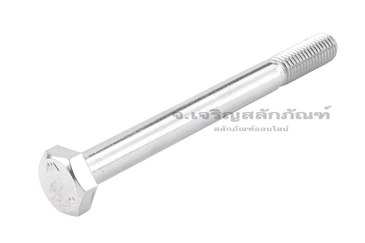 Stainless Steel Hex Bolt M10x110 stainless-steel-hex-bolt-m10x110