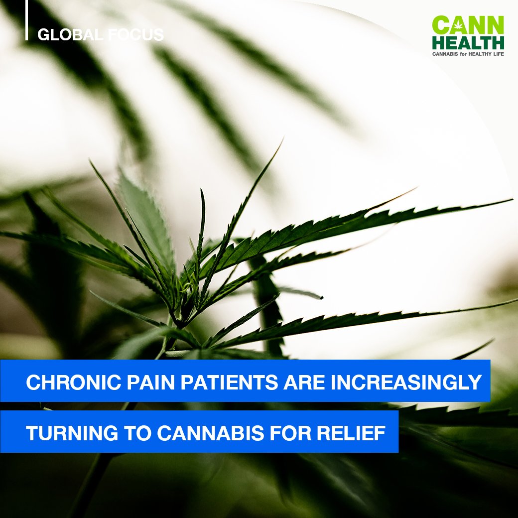 Chronic pain patients are increasingly turning to cannabis for relief