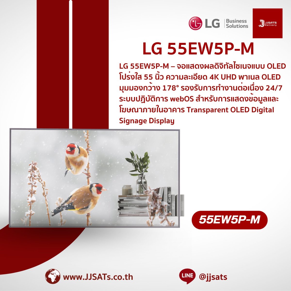 จอ OLED โปร่งใส Transparent OLED Signage | LG | 55EW5P-M | ขนาด 55 นิ้ว ...