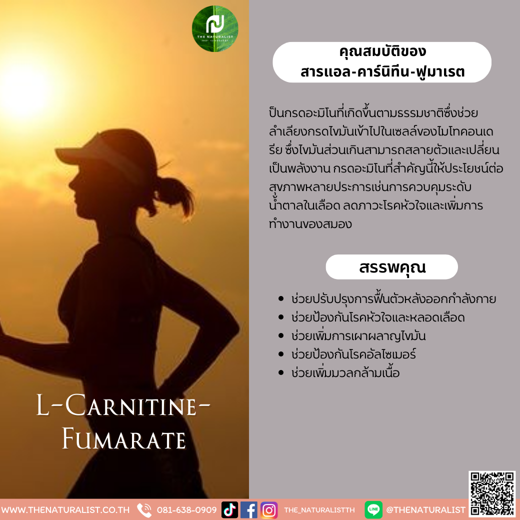 ประโยชน์ l carnitine สารแอล-คาร์นิทีน-ฟูมาเรต