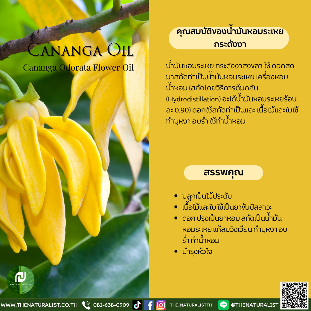 Qora tanli odam massaj qiladi Qanday qilib ozingiz chigirtka kostyumini yasashingiz mumkin