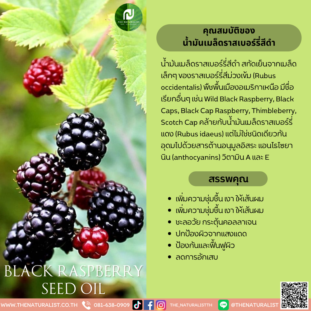 น้ำมันเมล็ดราสเบอร์รี่สีดํา - Black Raspberry Seed Oil