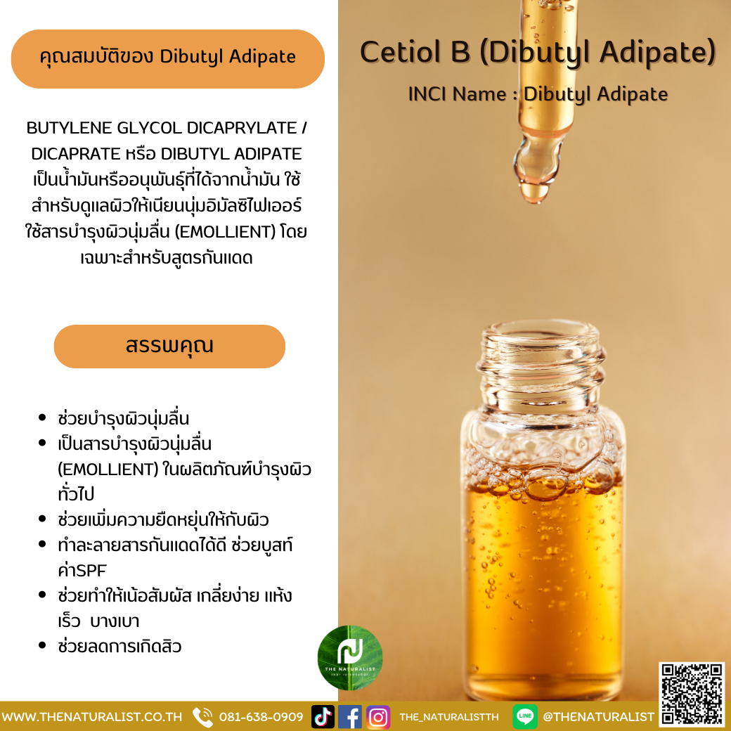 Cetiol B (Dibutyl Adipate) - Thenaturalist