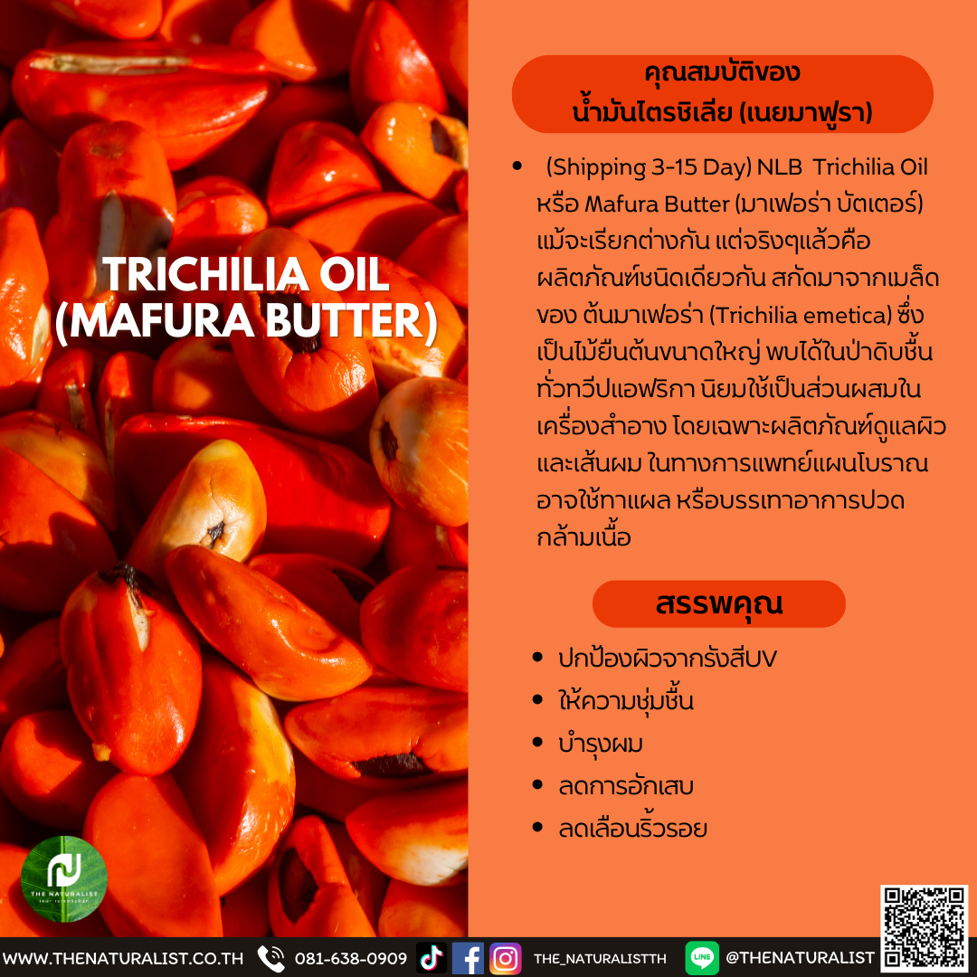 น้ำมันไตรชิเลีย (เนยมาฟูรา) - TRICHILIA OIL (MAFURA BUTTER) - thenaturalist