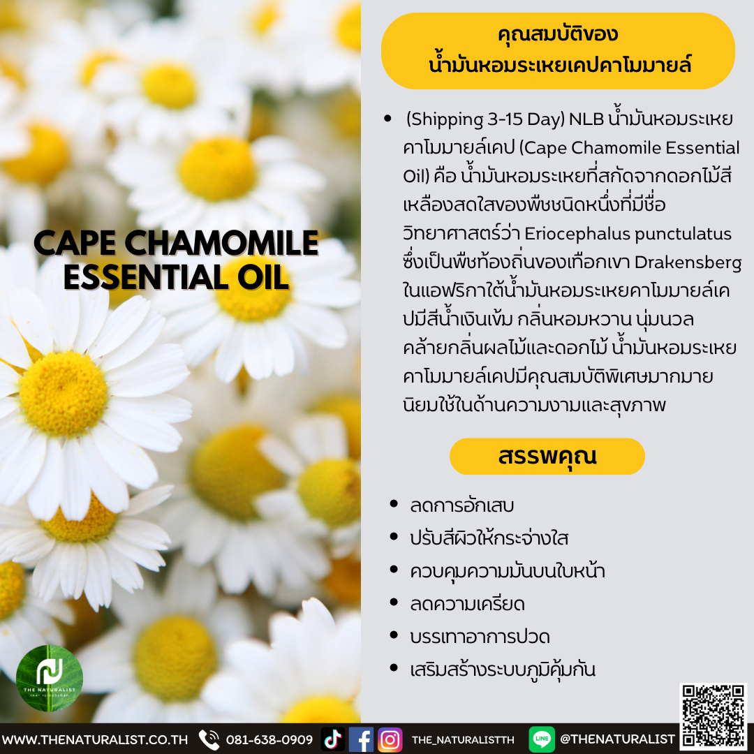 น้ำมันหอมระเหยเคปคาโมมายล์ - CAPE CHAMOMILE ESSENTIAL OIL - thenaturalist