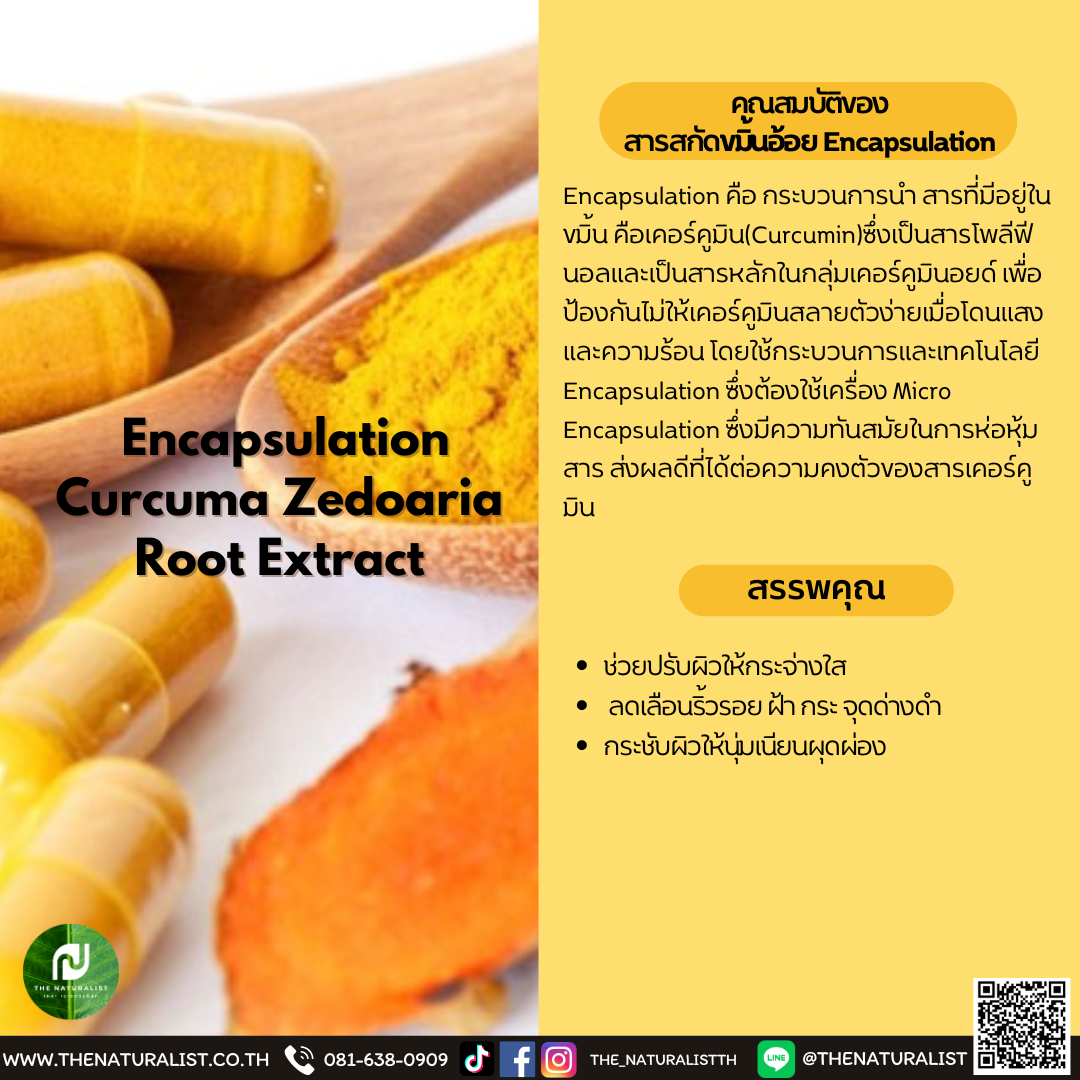 สารสกัดขมิ้นอ้อย Encapsulation Encapsulation Curcuma Zedoaria Root Extract thenaturalist