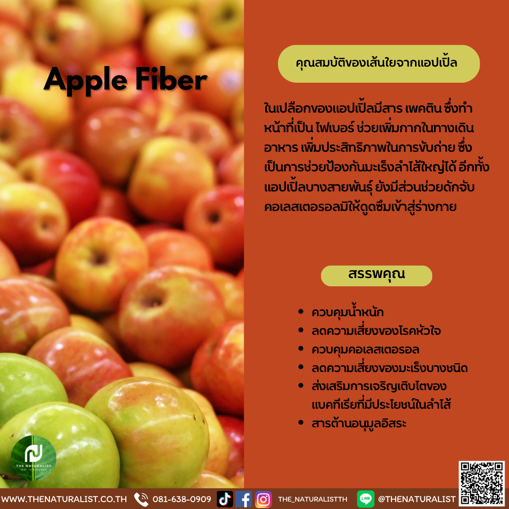 เส้นใยจากแอปเปิ้ล Apple Fiber thenaturalist