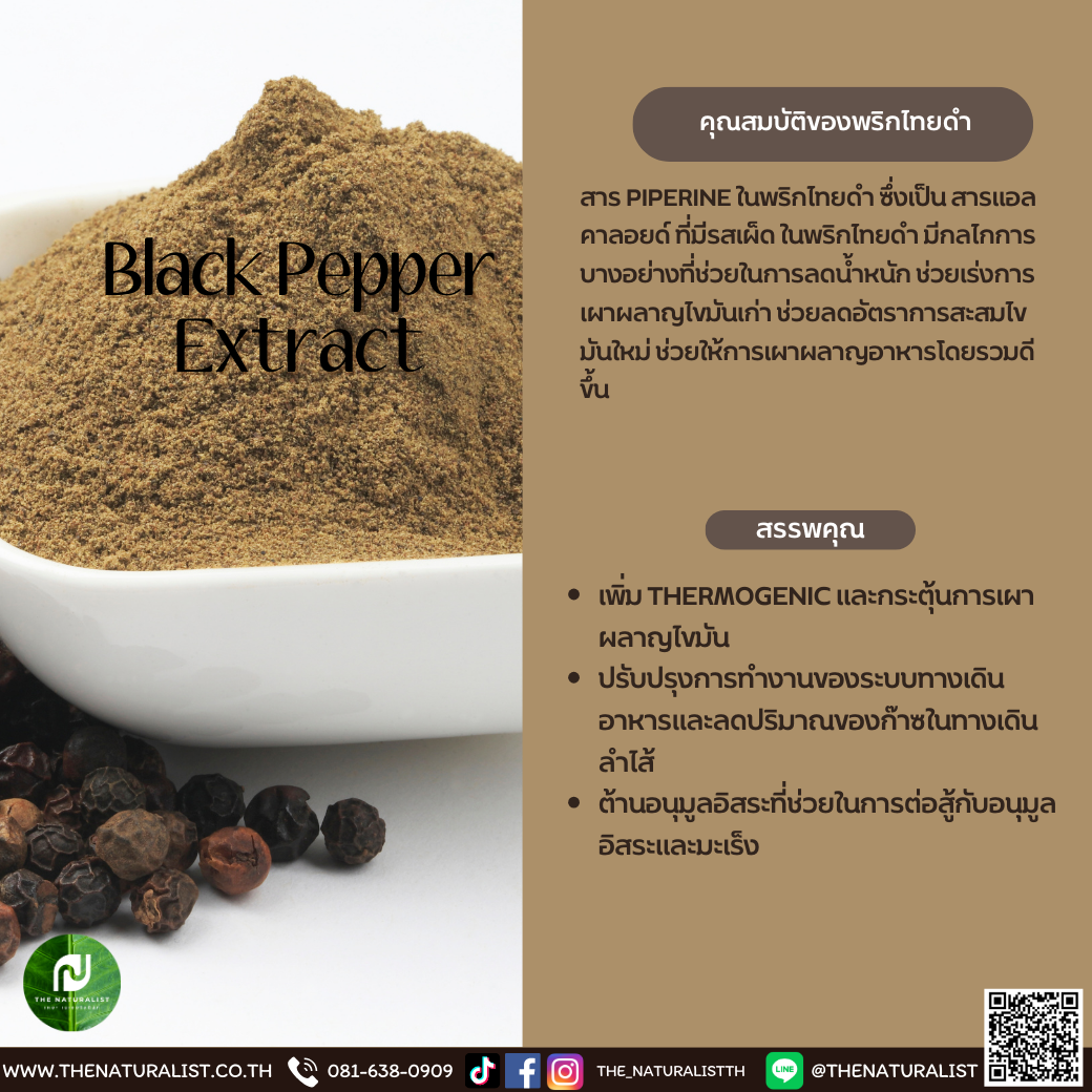 พริกไทยดำ Black Pepper Extract thenaturalist