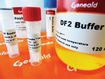 Large DNA Fragments Extraction Kit
