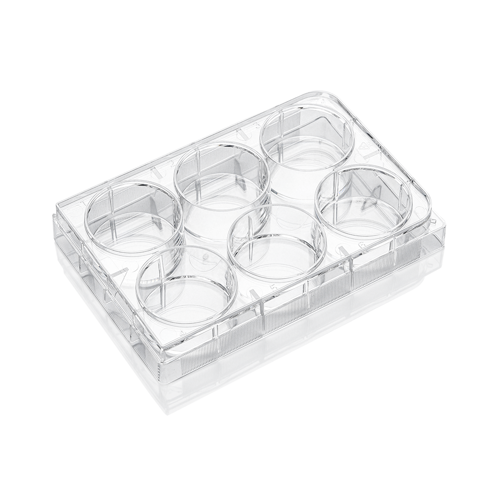 Skin Cell Box non-treated, skin packing