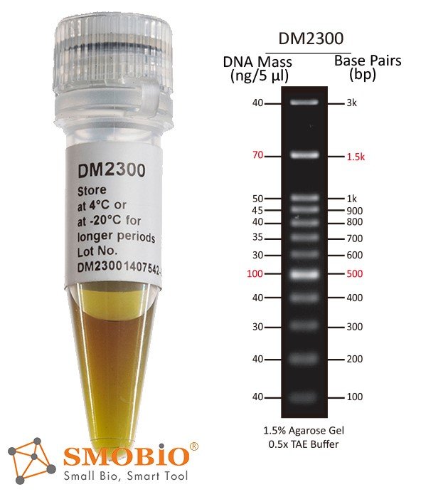 Dm2100 ExcelBand™ 100 bp+3K DNA Ladder, 500 μl