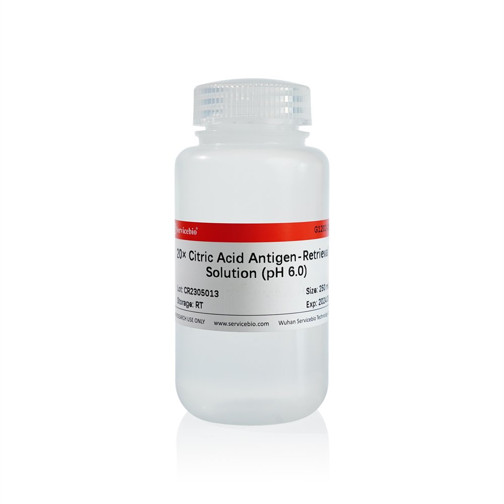 20× Citric Acid AntigenRetrieval Solution (pH 6.0), 250 mL (for Repair