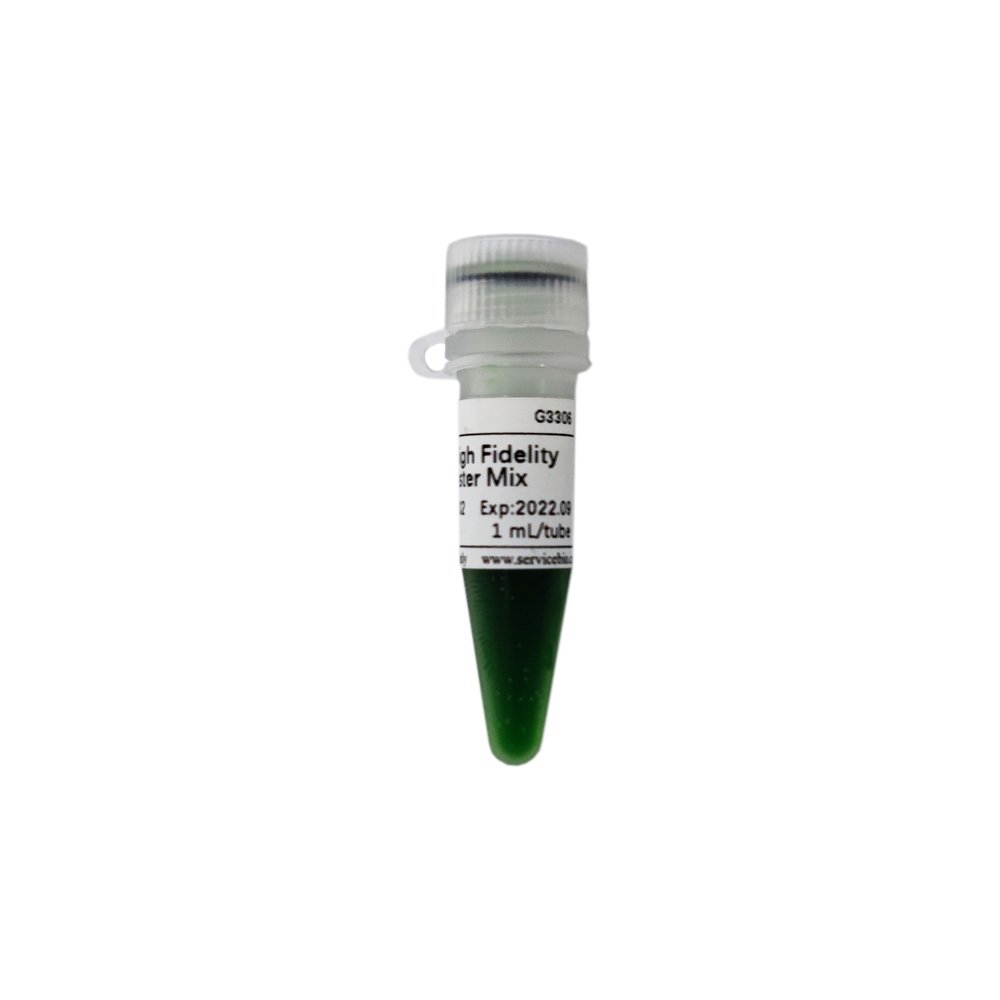 2×Fast High Fidelity PCR Master Mix (for PCR series)