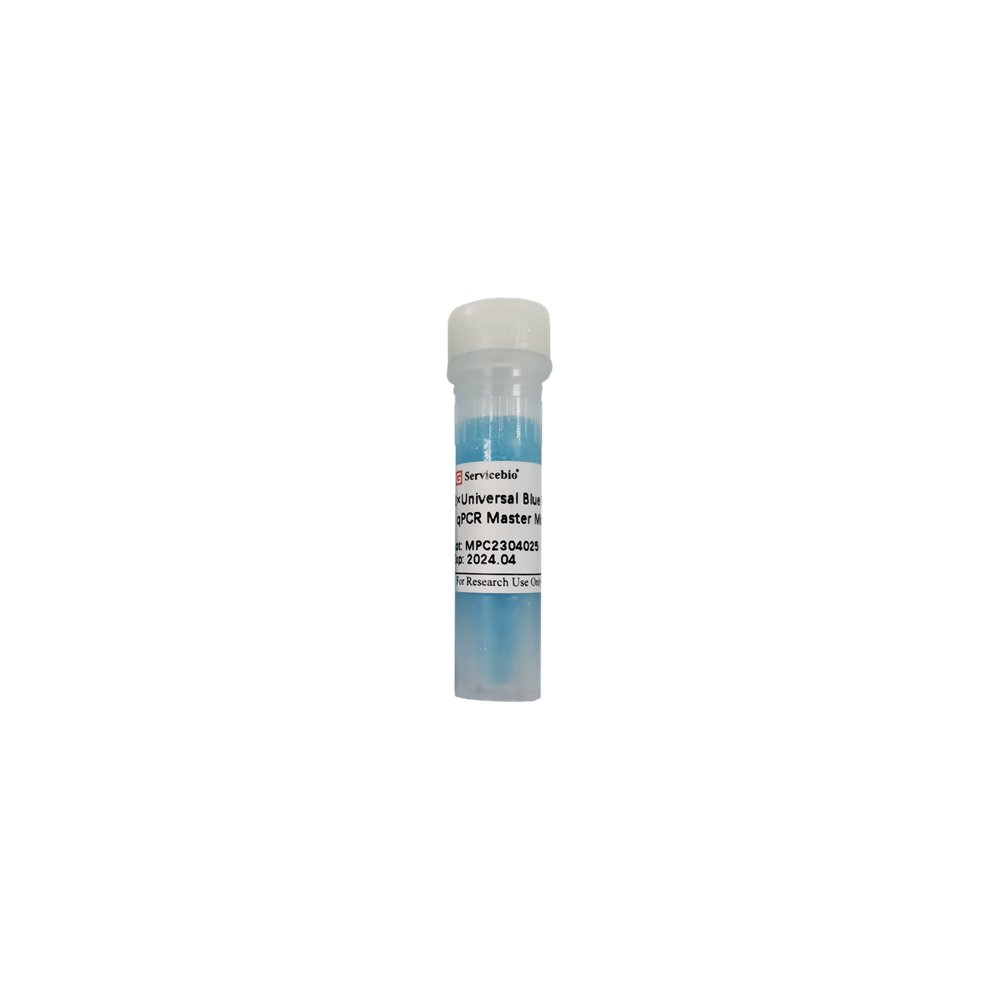 2 × Fast SYBR Green qPCR Master Mix (High ROX)