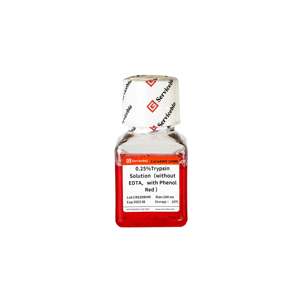 0.25% trypsin digestion solution (without EDTA, with phenol red), 100 mL