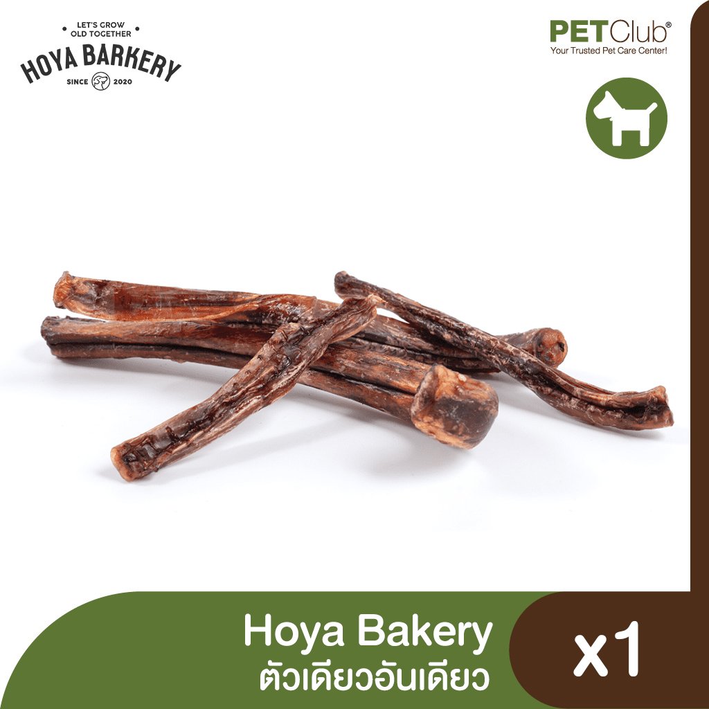 Bully sticks made outlet from