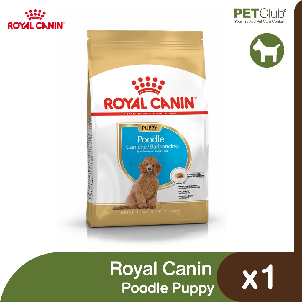 Royal Canin Poodle Puppy petclub