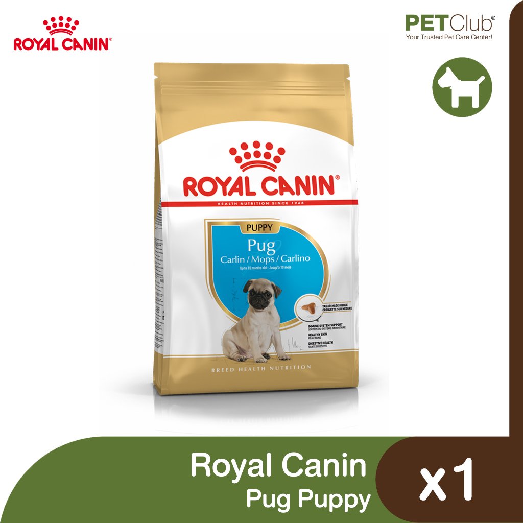 Royal Canin Pug Puppy petclub