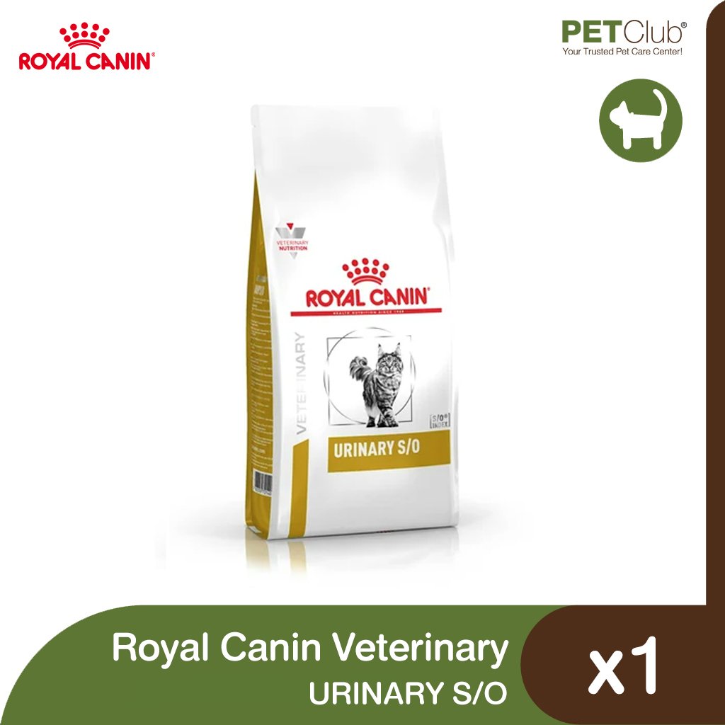 Royal canin sales so cat food