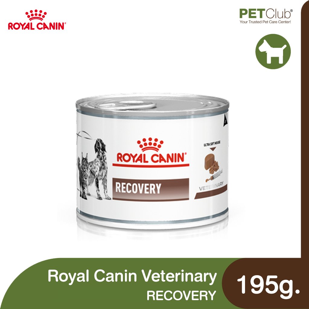 Royal Canin Veterinary Dog and Cat Recovery Ultra Soft Mousse - petclub
