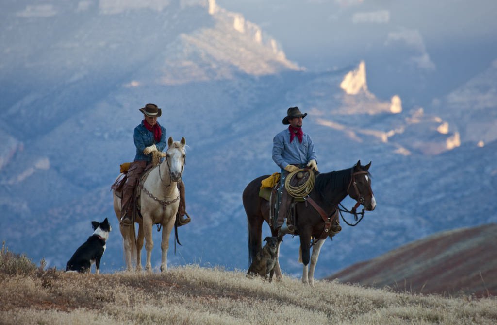 Cowbai คุณรู้ไหมว่า ทำไมคาวบอย (Cowboy) ที่สหรัฐอเมริกาถึงล้มสลาย