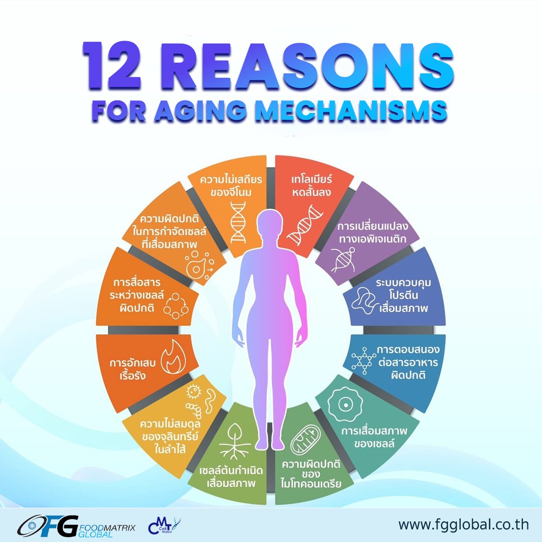 12 Reasons for aging mechanisms