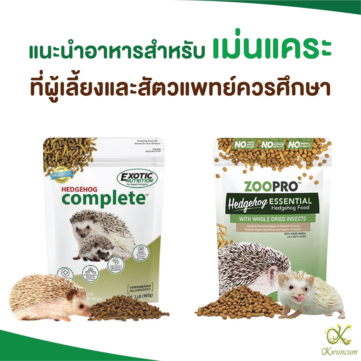 Recommended Diet for Pygmy Hedgehogs: A Guide for Owners and Veterinarians