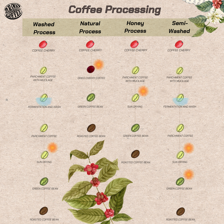 กาแฟที่คุณดื่ม เป็น Coffee Processing แบบไหน