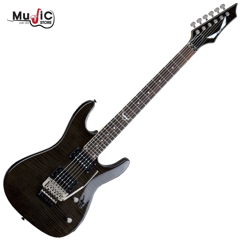 Dean Custom 350 Floyd Electric Guitar