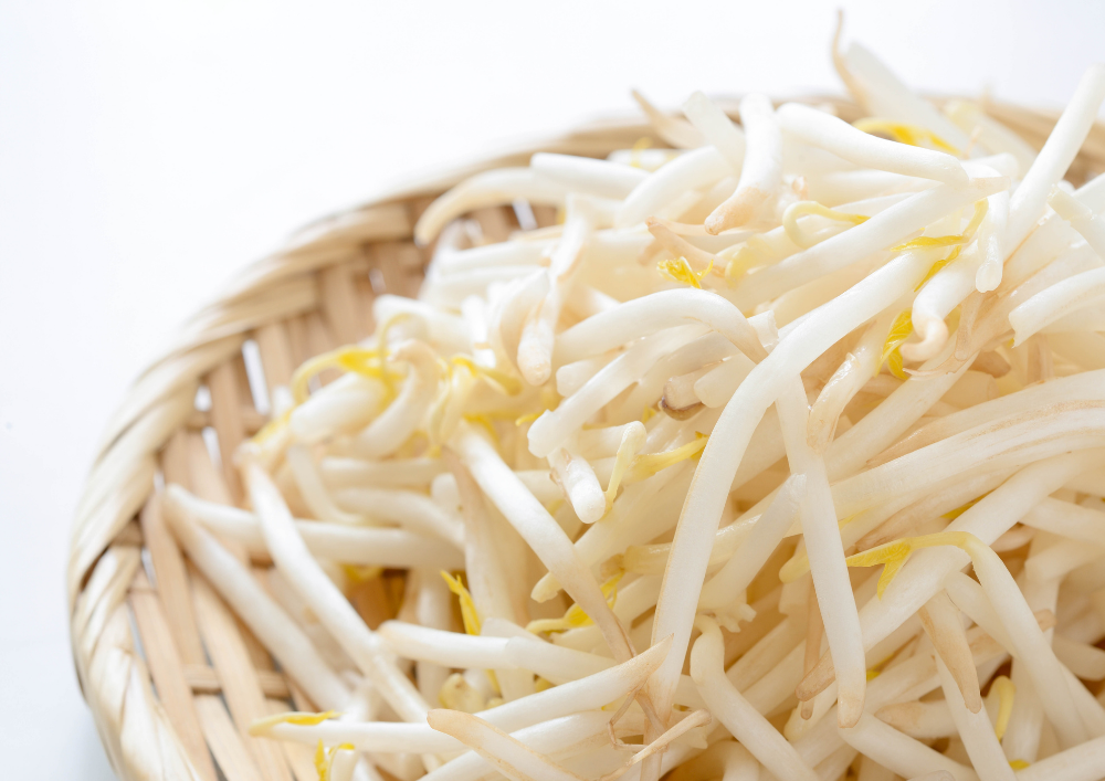 CANNED BEAN SPROUTS delicathai