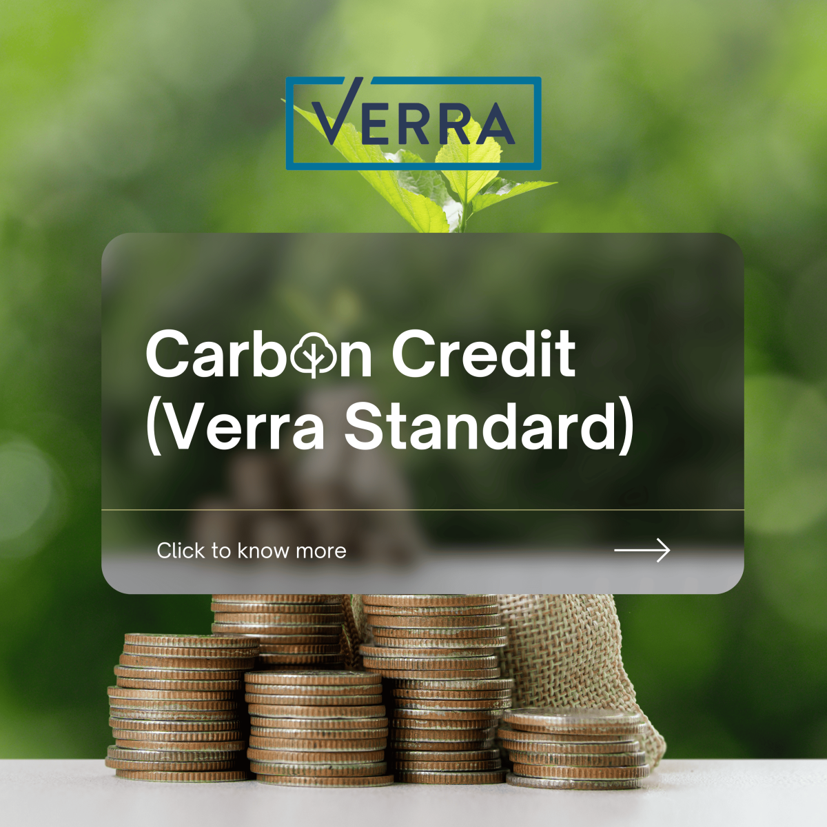 VERRA Standards - esgprothai