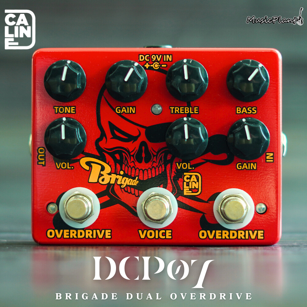 Amazon.com: Caline DCP-07 Brigade Dual Overdrive Guitar