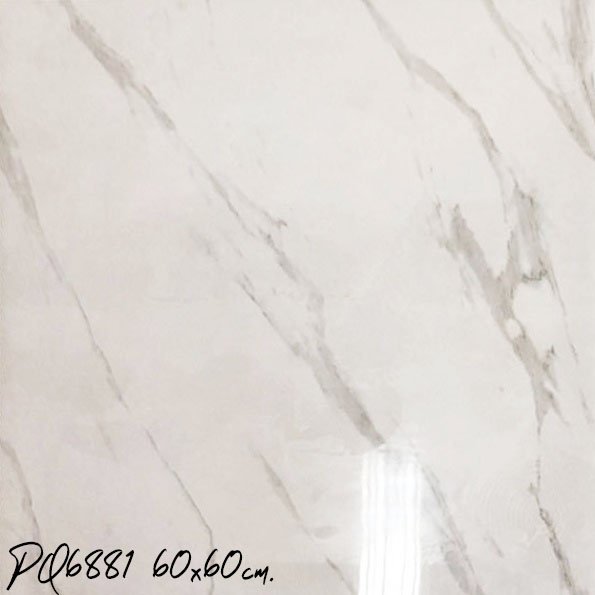 ุ60x60cm.PQ6881