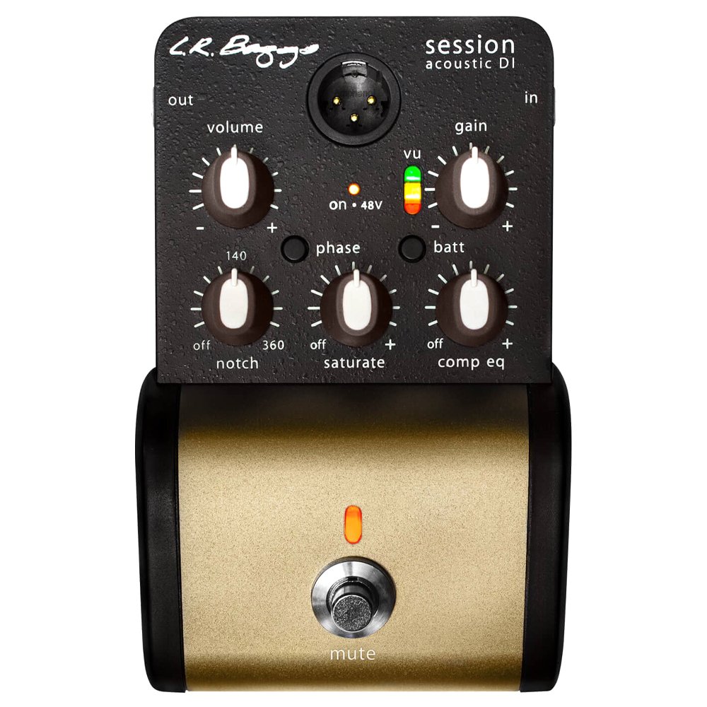 LR_Baggs_Session_DI_1.jpg