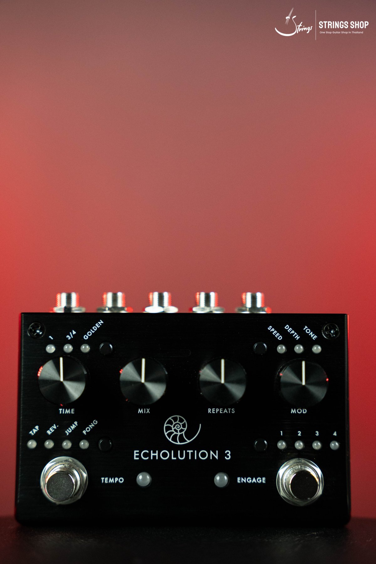 ギター Pigtronix echolution3 Echolution 3 - Pigtronix