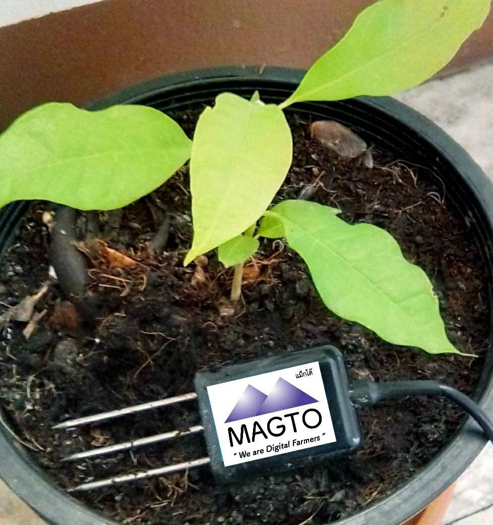 Magto MAGTO TH-S