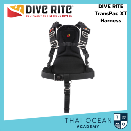 DIVE RITE TRANSPAC XT HARNESS - thaioceanacademy