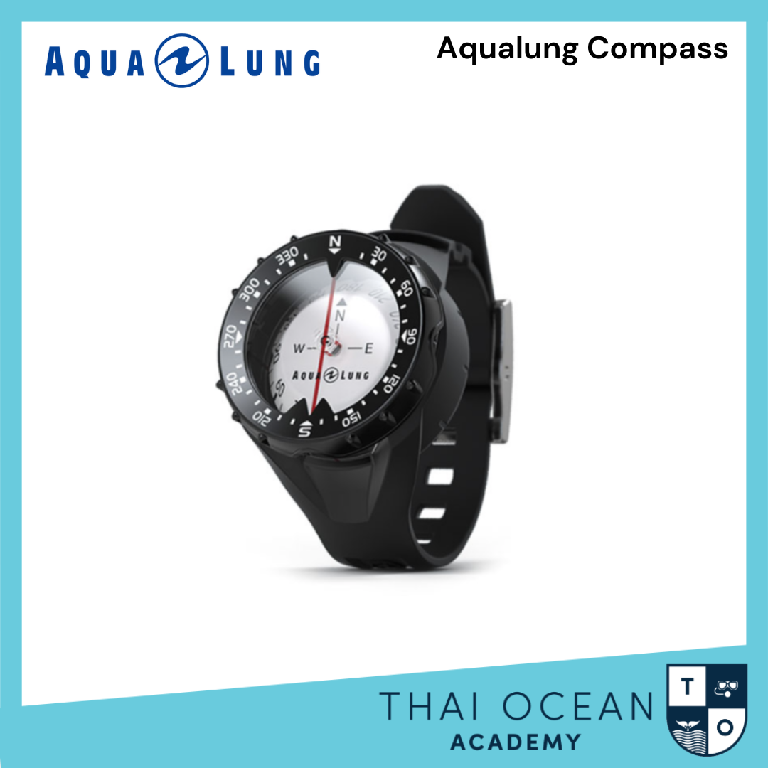Aqualung Compass - Thai Ocean Academy