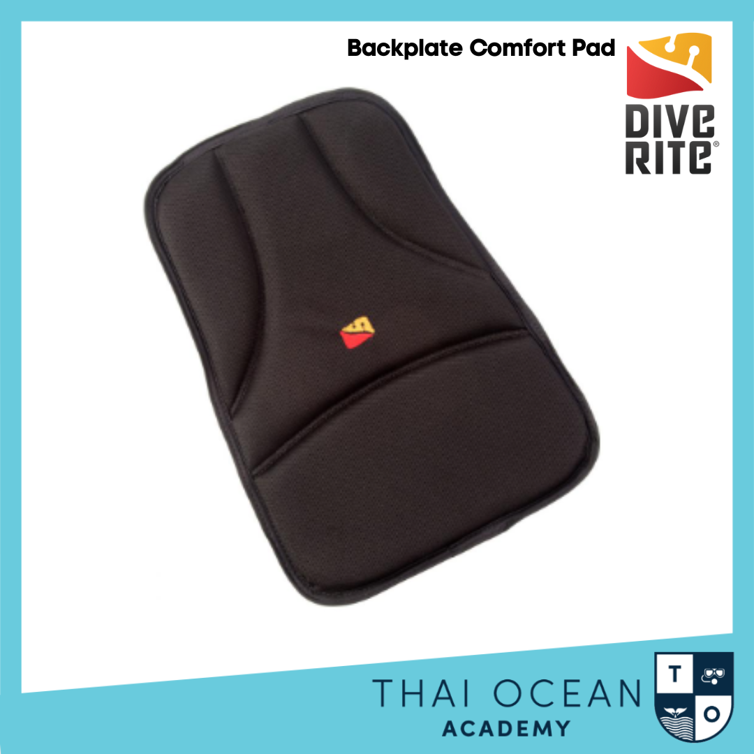 Dive Rite Backplate Comfort Pad Thai Ocean Academy thaioceanacademy