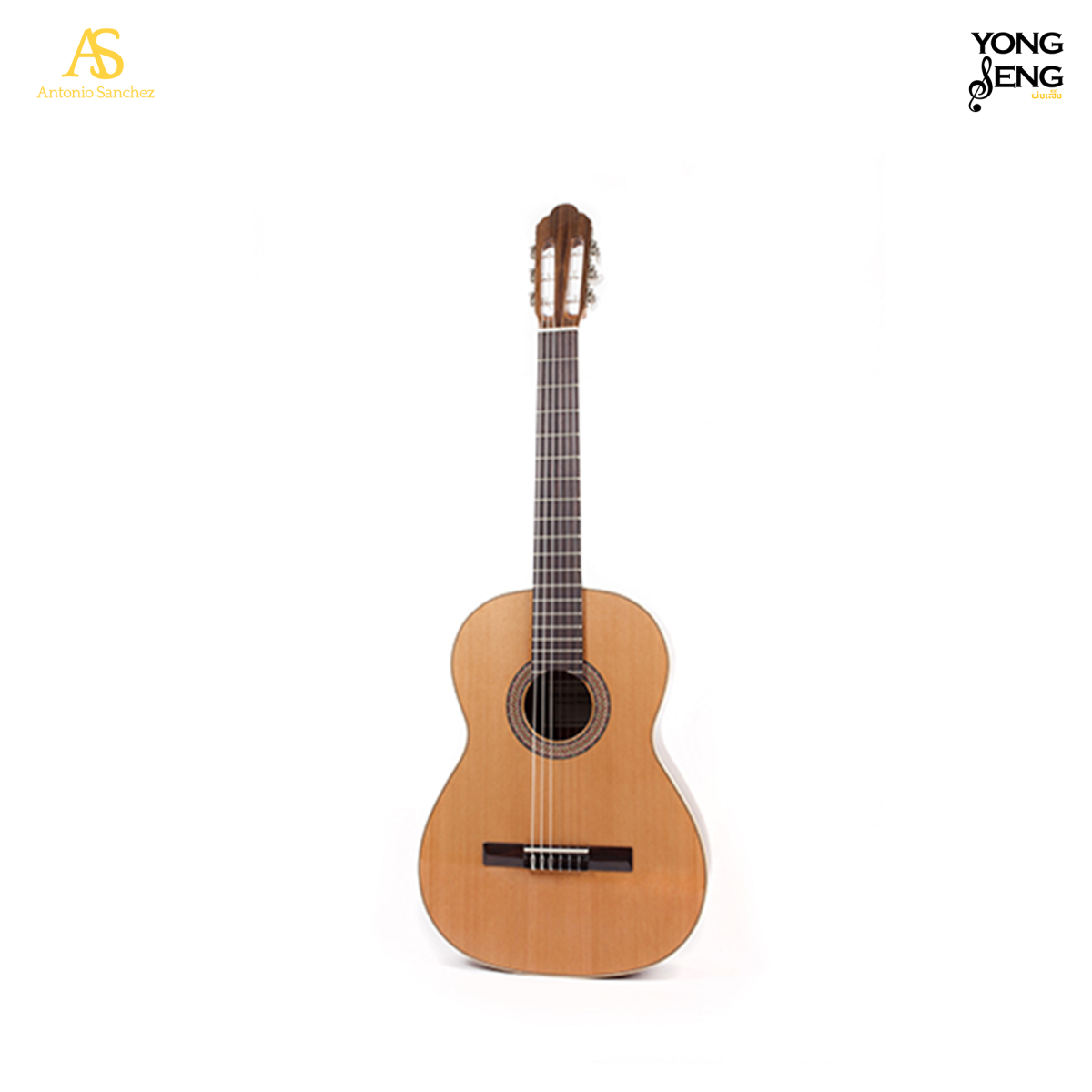 【中古】 Birdman AntonioSanchez 中古】ANTONIO SANCHEZ / ESTUDIO-2/65 SPRUCE 【訳アリ